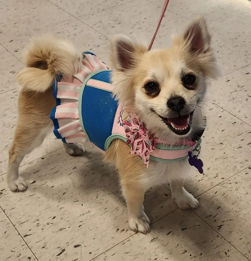 Roseanne thumbnail 2