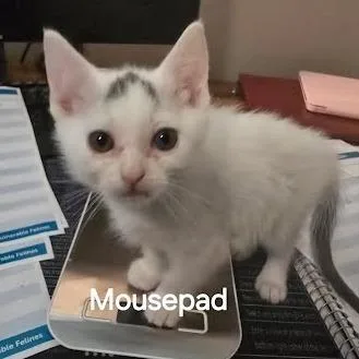 Mouse Pad thumbnail 2