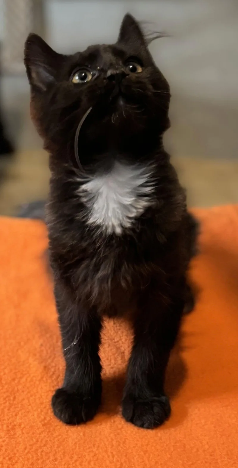 Are We There Yet? thumbnail 2