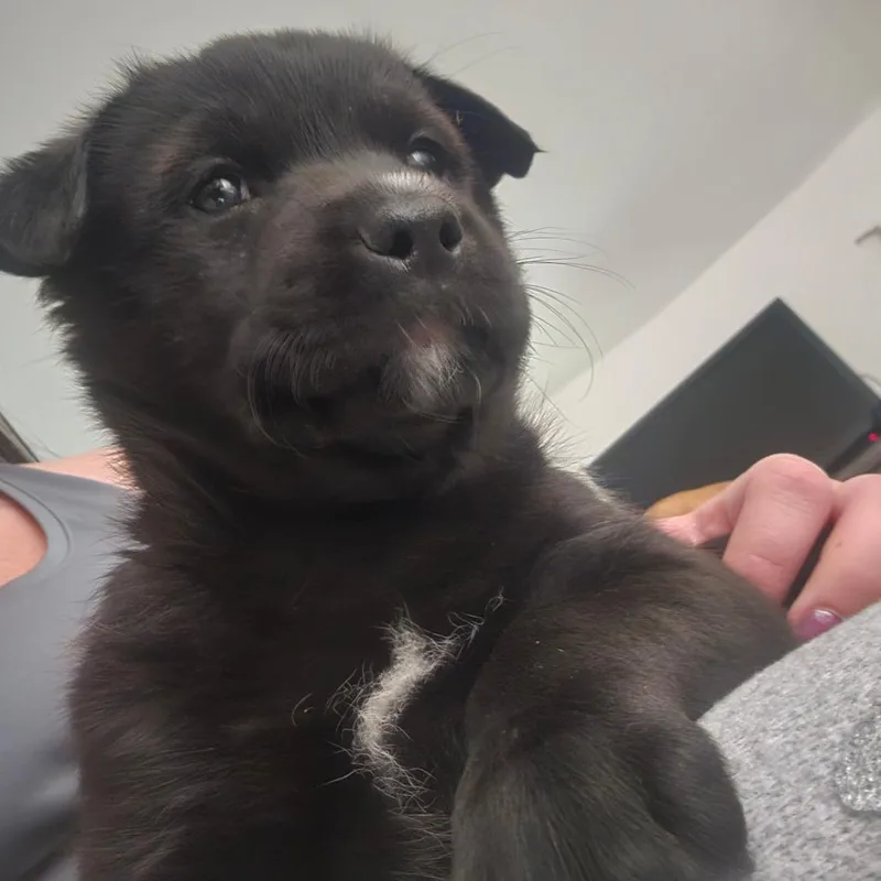Misha thumbnail 4