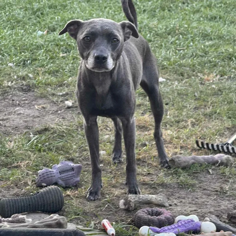 Prudence thumbnail 2