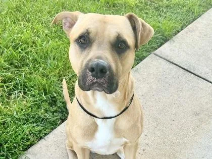 Kilo