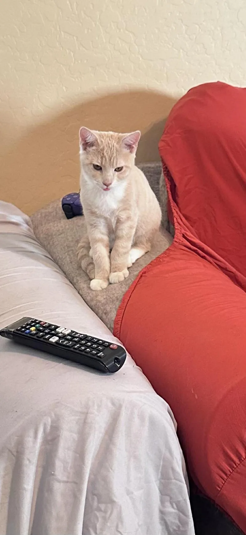 Clam Chowder Foodie thumbnail 2