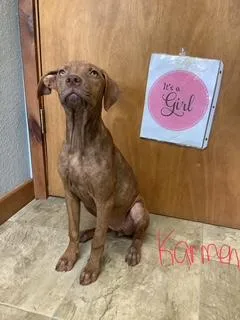 Karmen