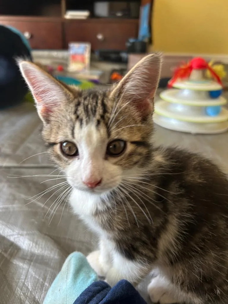Murphy
