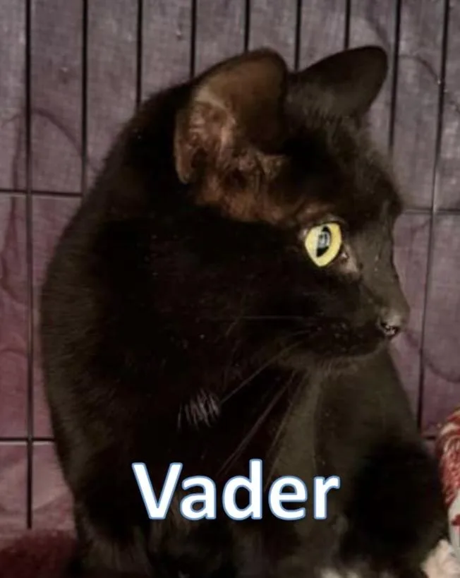 Vader