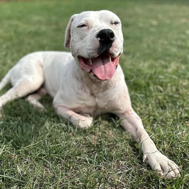 Ghost & Luna Lu thumbnail 2