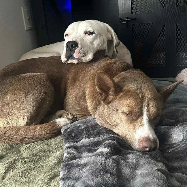 Ghost & Luna Lu thumbnail 3