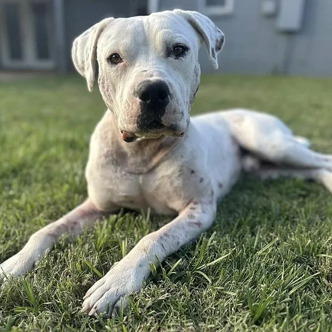 Ghost & Luna Lu thumbnail 4