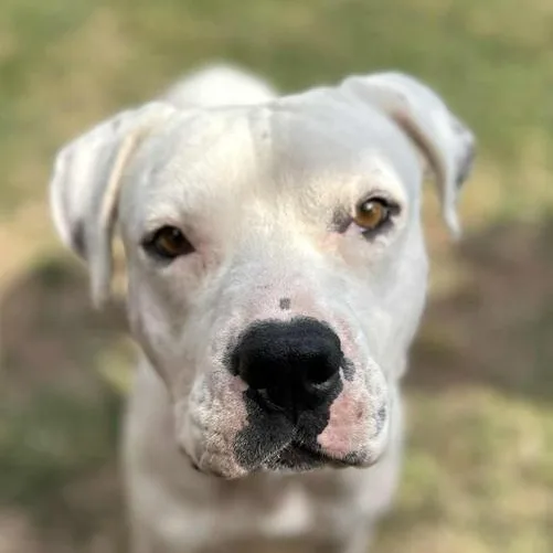 Ghost & Luna Lu thumbnail 5