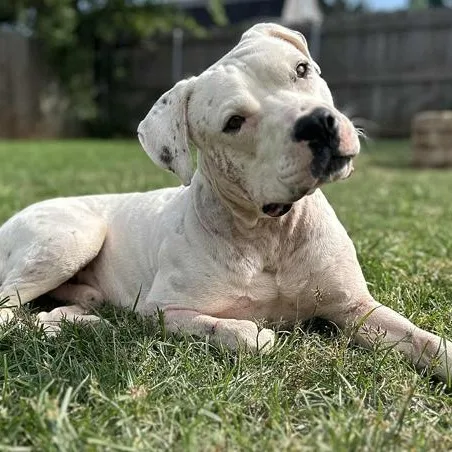 Ghost & Luna Lu thumbnail 6