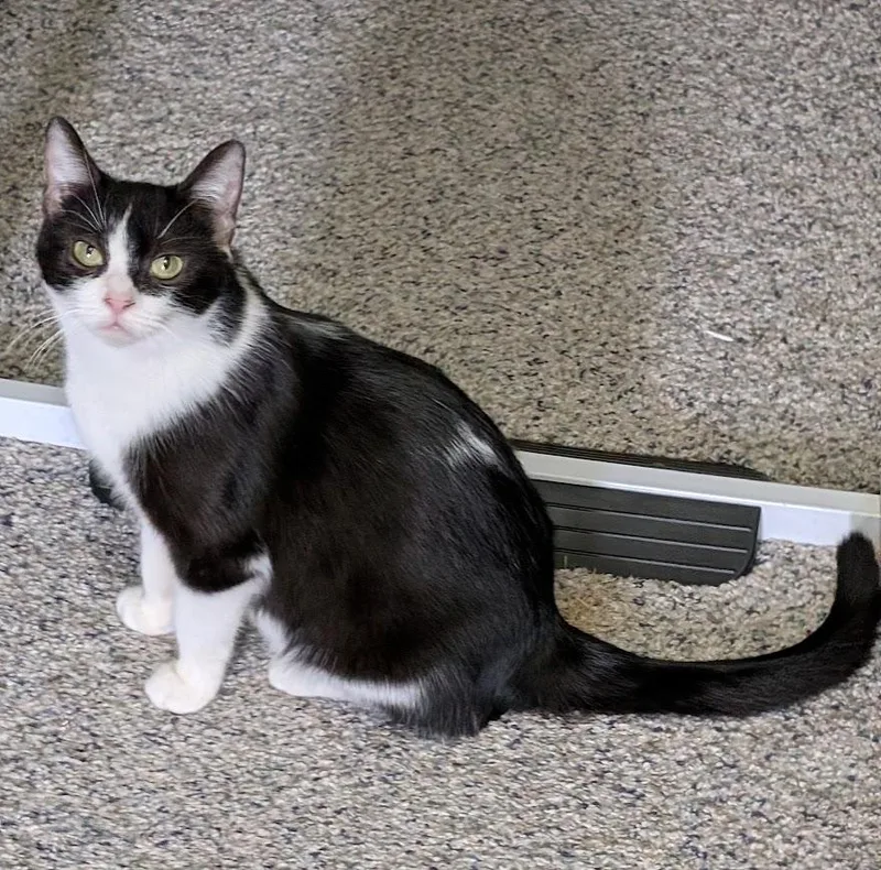 Josie Md thumbnail 2