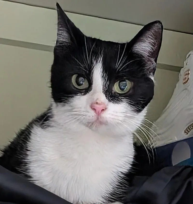 Josie Md thumbnail 3