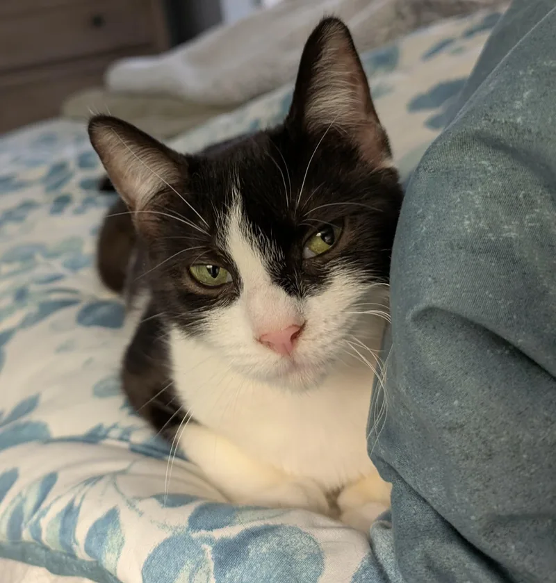 Josie Md thumbnail 4