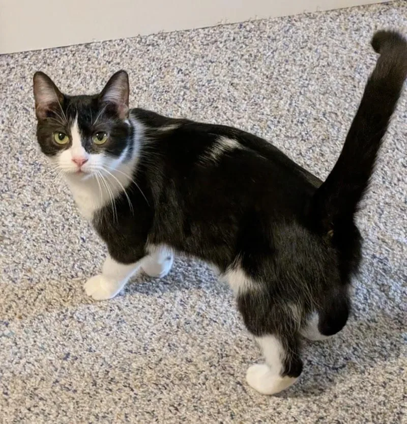 Josie Md thumbnail 5