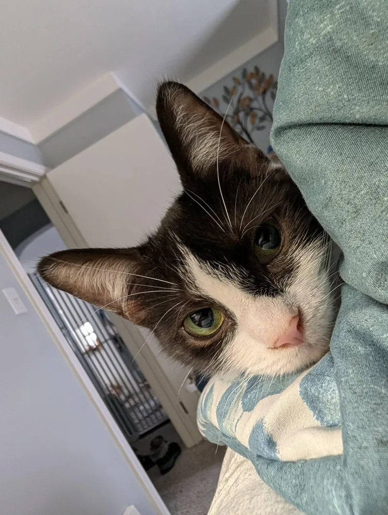 Josie Md thumbnail 6