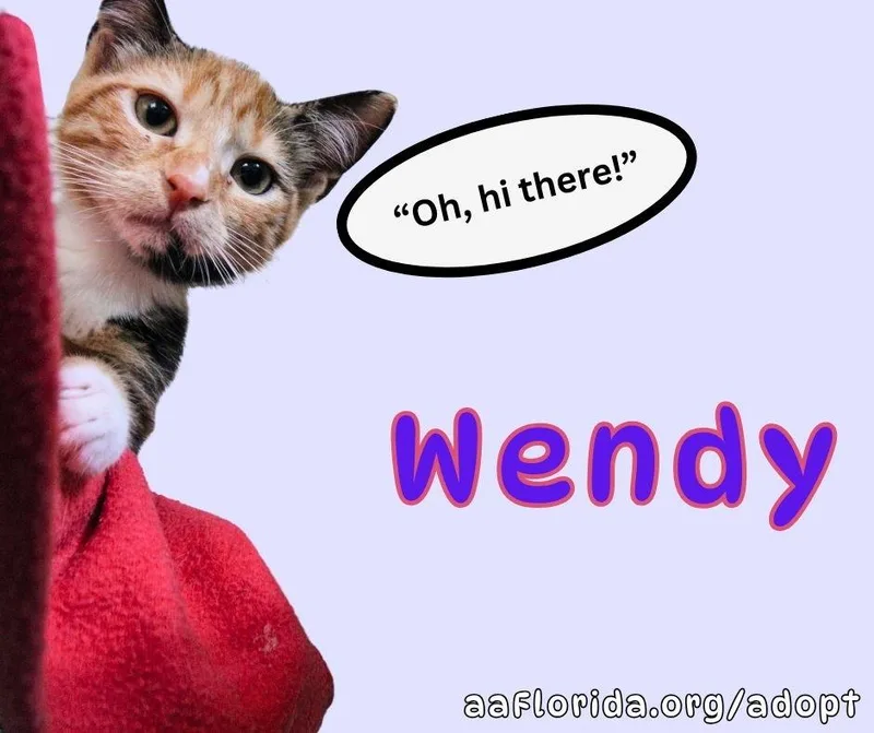 Wendy thumbnail 3