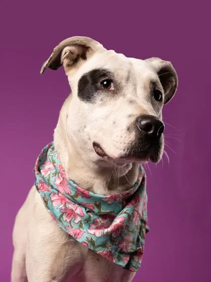 Waffle House thumbnail 2