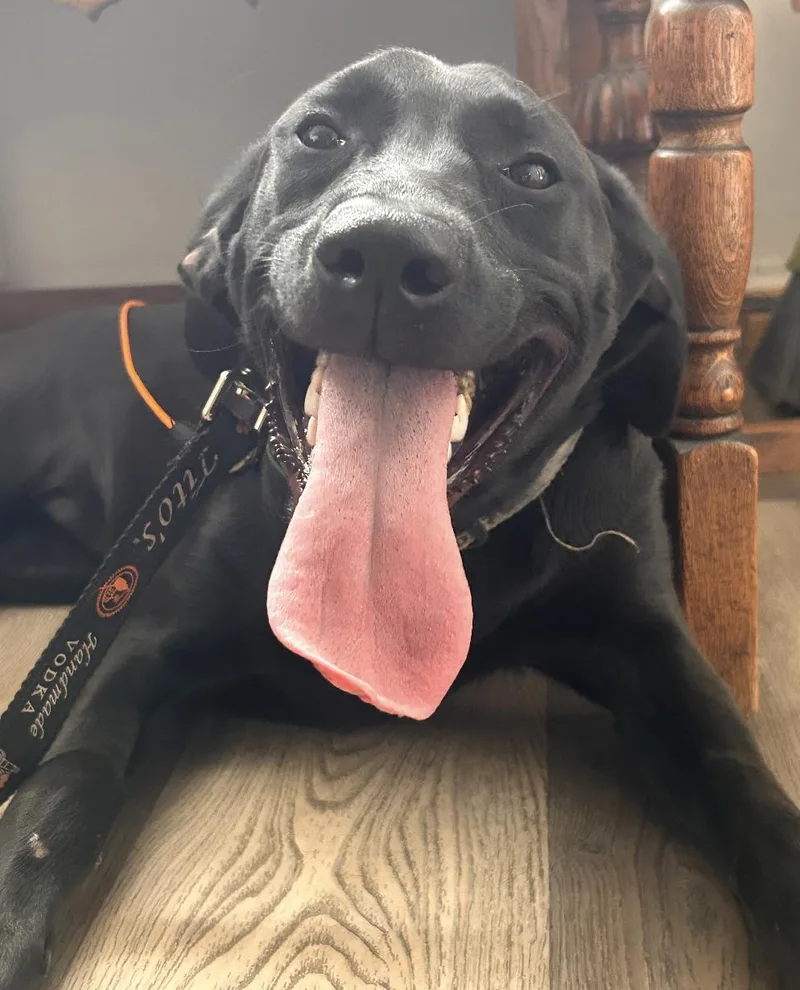 Spooky thumbnail 2