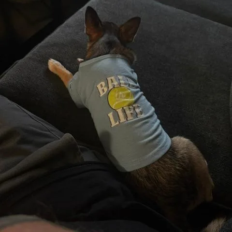 Eevee thumbnail 3