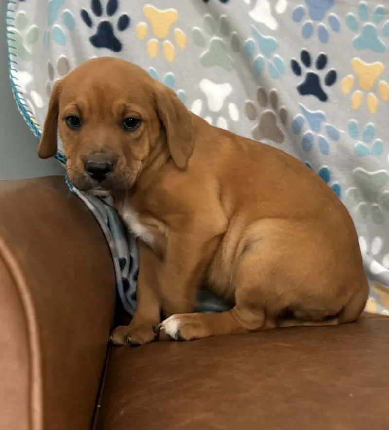 Dj Dazzling thumbnail 6