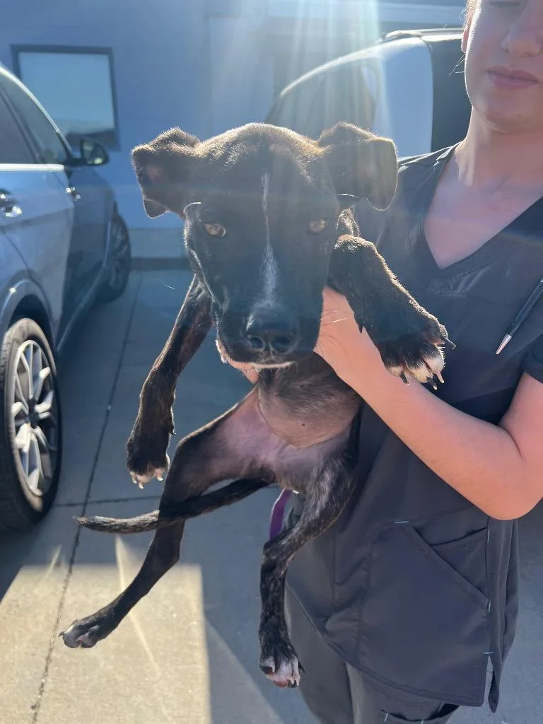 Sparkles thumbnail 2