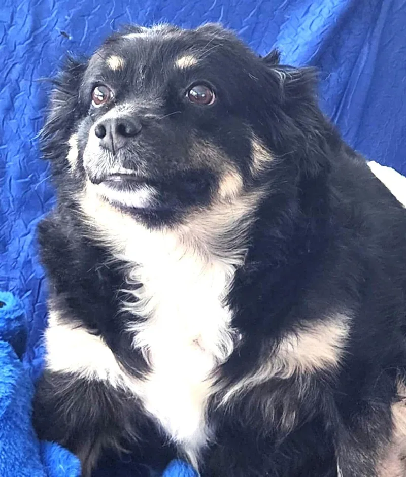 Layla Walworth Kramer thumbnail 2