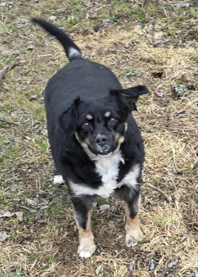 Layla Walworth Kramer thumbnail 3