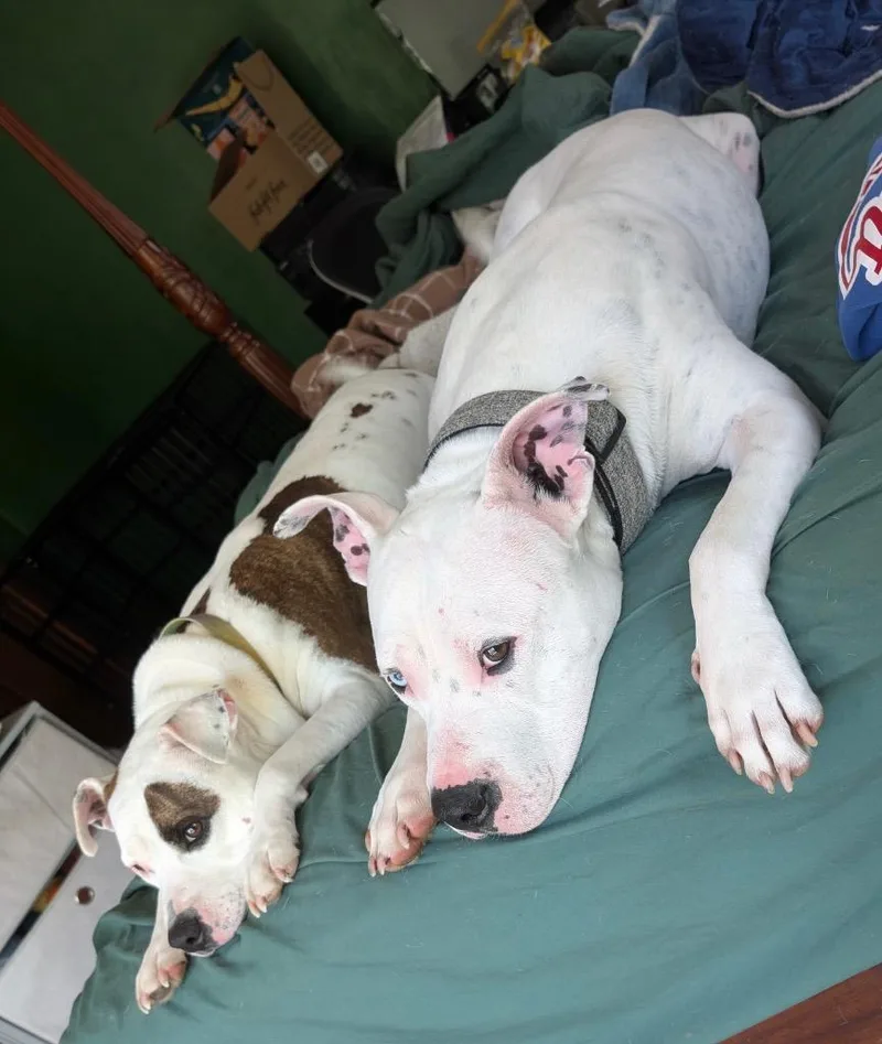 Fritz  Deaf  thumbnail 3