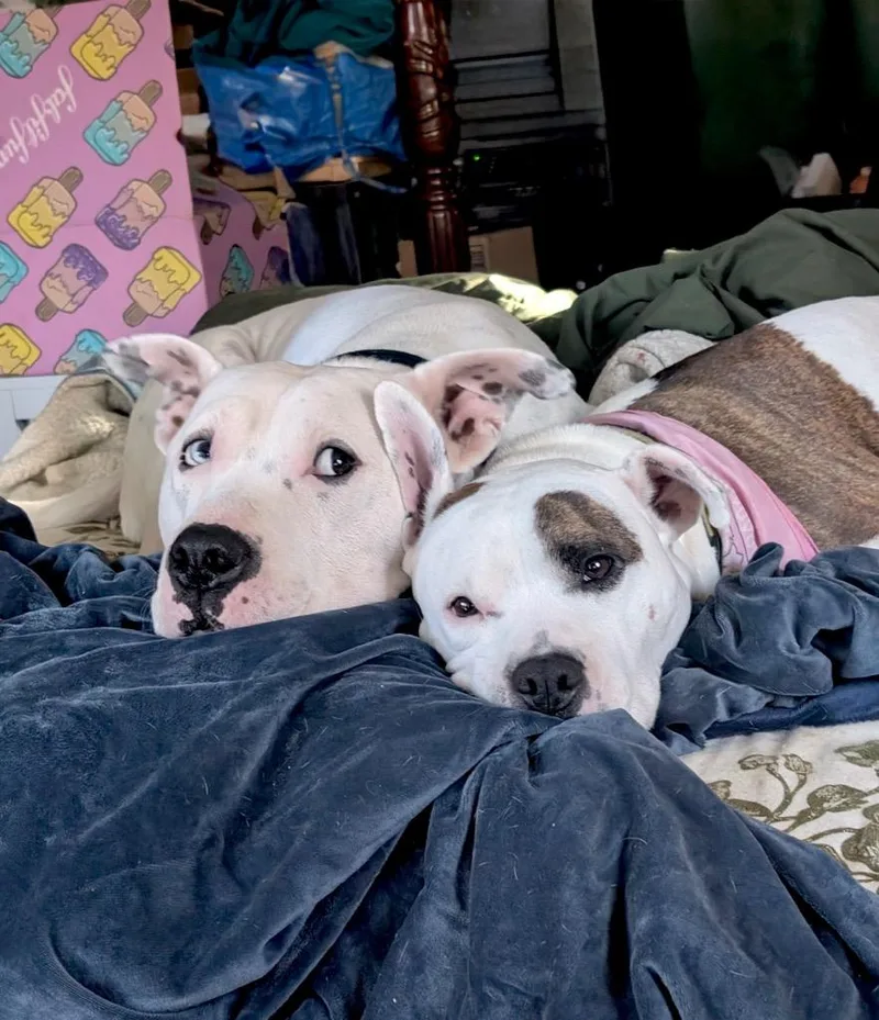 Fritz  Deaf  thumbnail 4