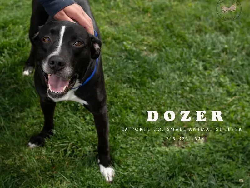 Dozer
