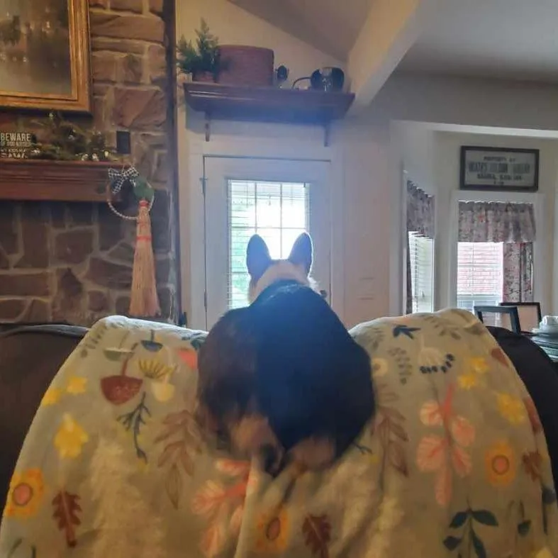 Layla Nka Libby thumbnail 6