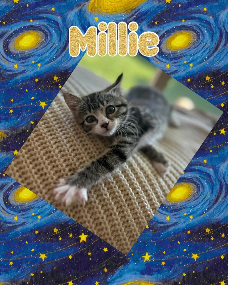 Millie