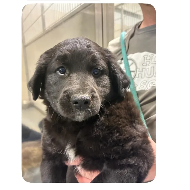 Ct Spencer thumbnail 5