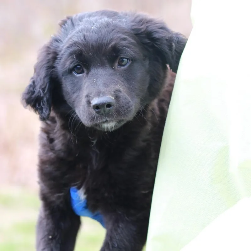 Ct Spencer thumbnail 6