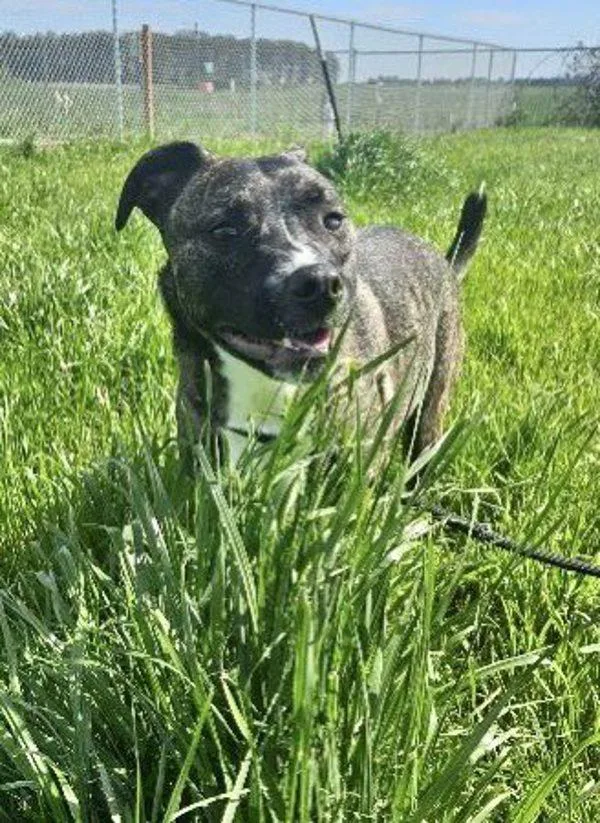 Milano Aka Millie thumbnail 2