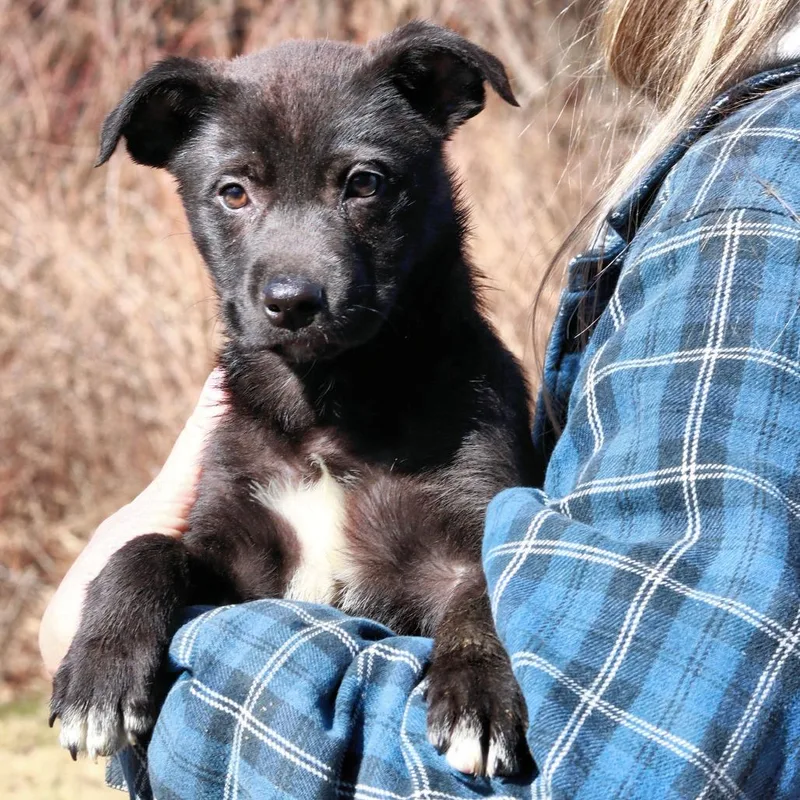 Ct Hermione Granger thumbnail 2