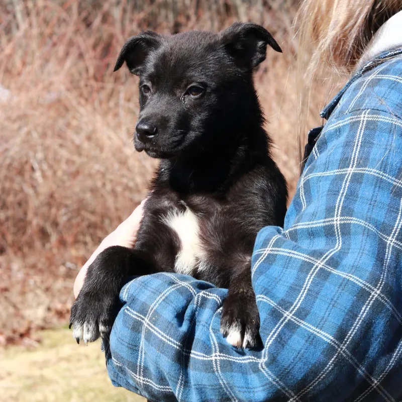 Ct Hermione Granger thumbnail 3