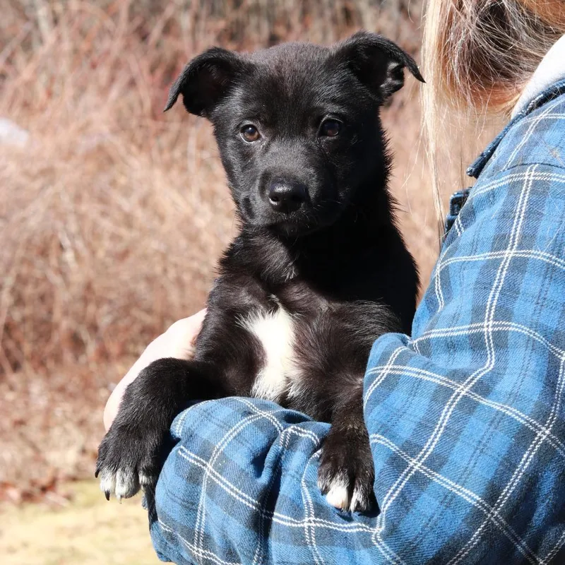 Ct Hermione Granger thumbnail 5