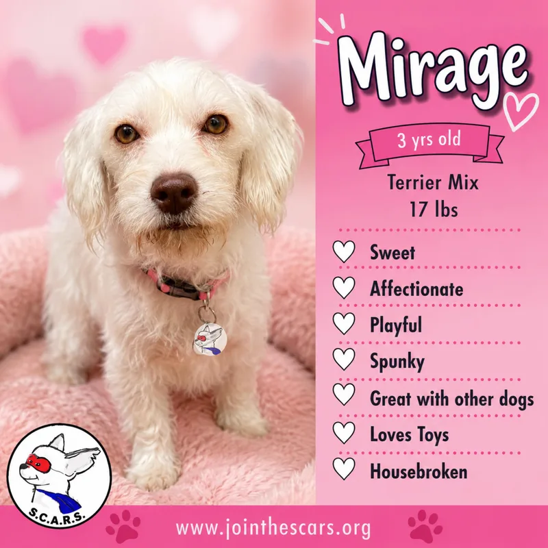 Mirage thumbnail 3