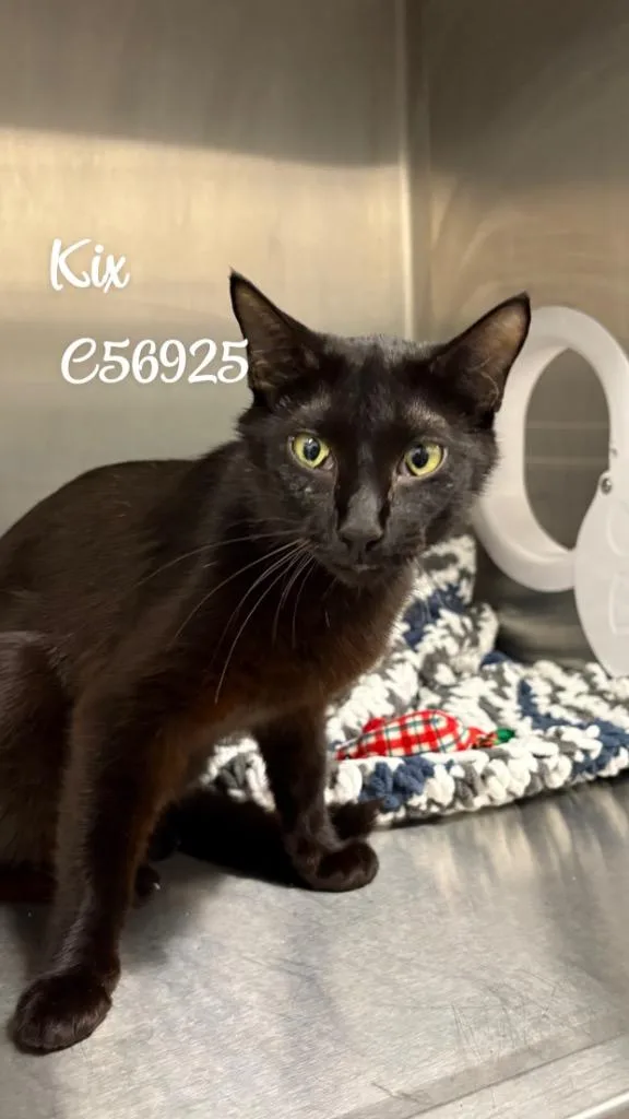 Kix