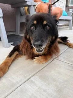 Tita