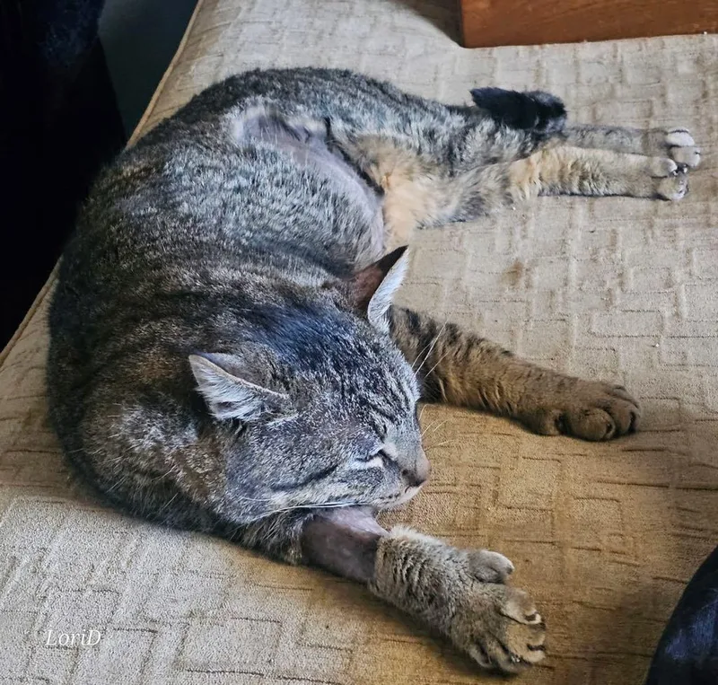 Mr. Thumbs thumbnail 2