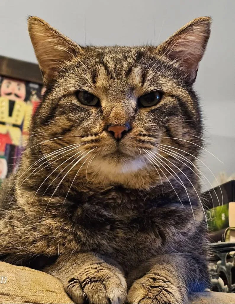 Mr. Thumbs thumbnail 4