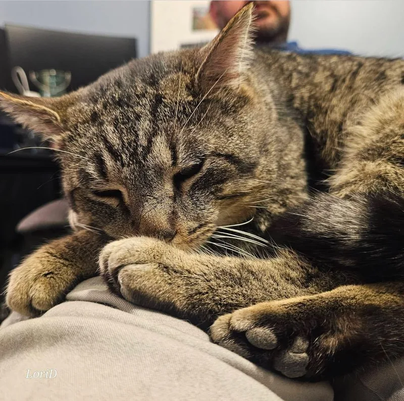 Mr. Thumbs thumbnail 5