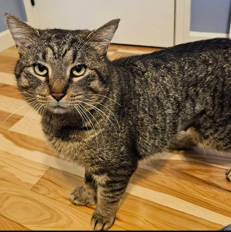 Mr. Thumbs thumbnail 6