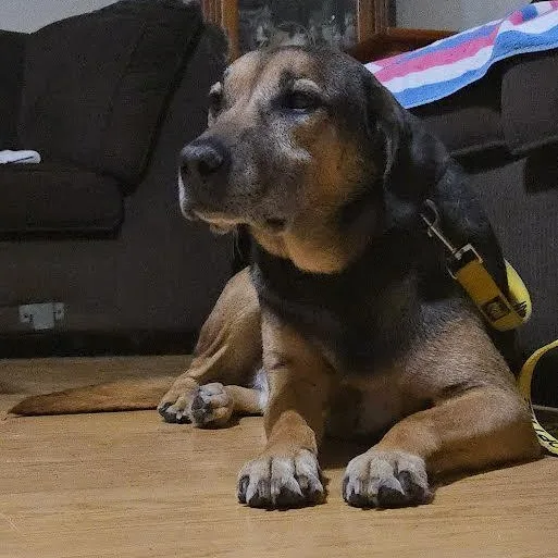 Mr. Handsome