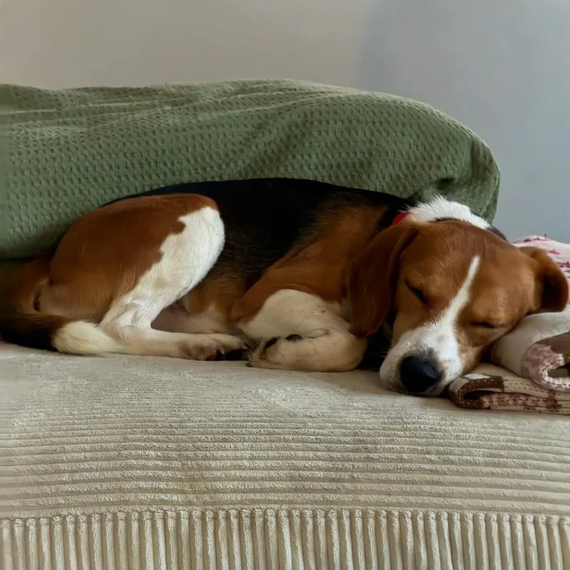 Walter thumbnail 2