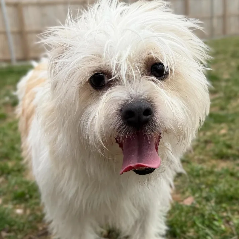 Florence thumbnail 3