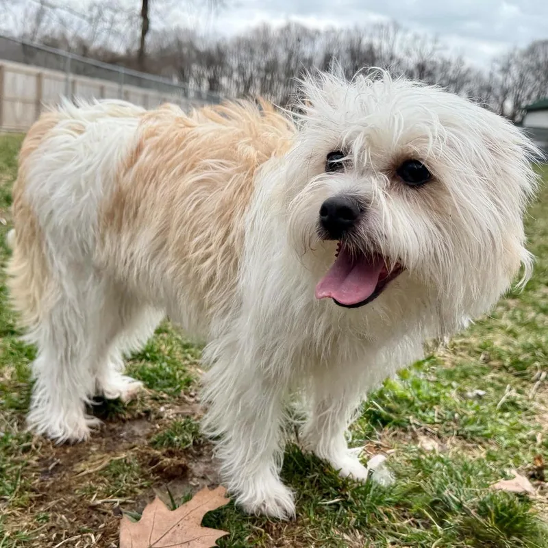 Florence thumbnail 4